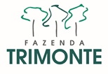 Logo da empresa Trimonte